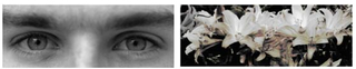 Illustration for article titled People under surveillance are more likely to condemn "bad behavior" in others